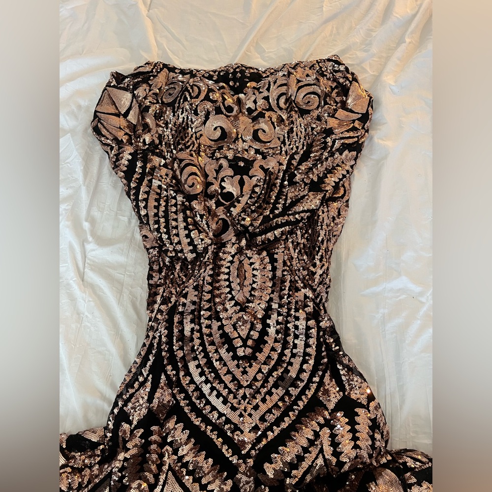 Beautiful Evening/Formal Gown
